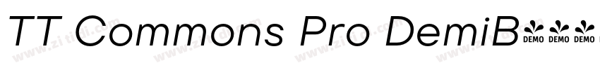 TT Commons Pro DemiB字体转换